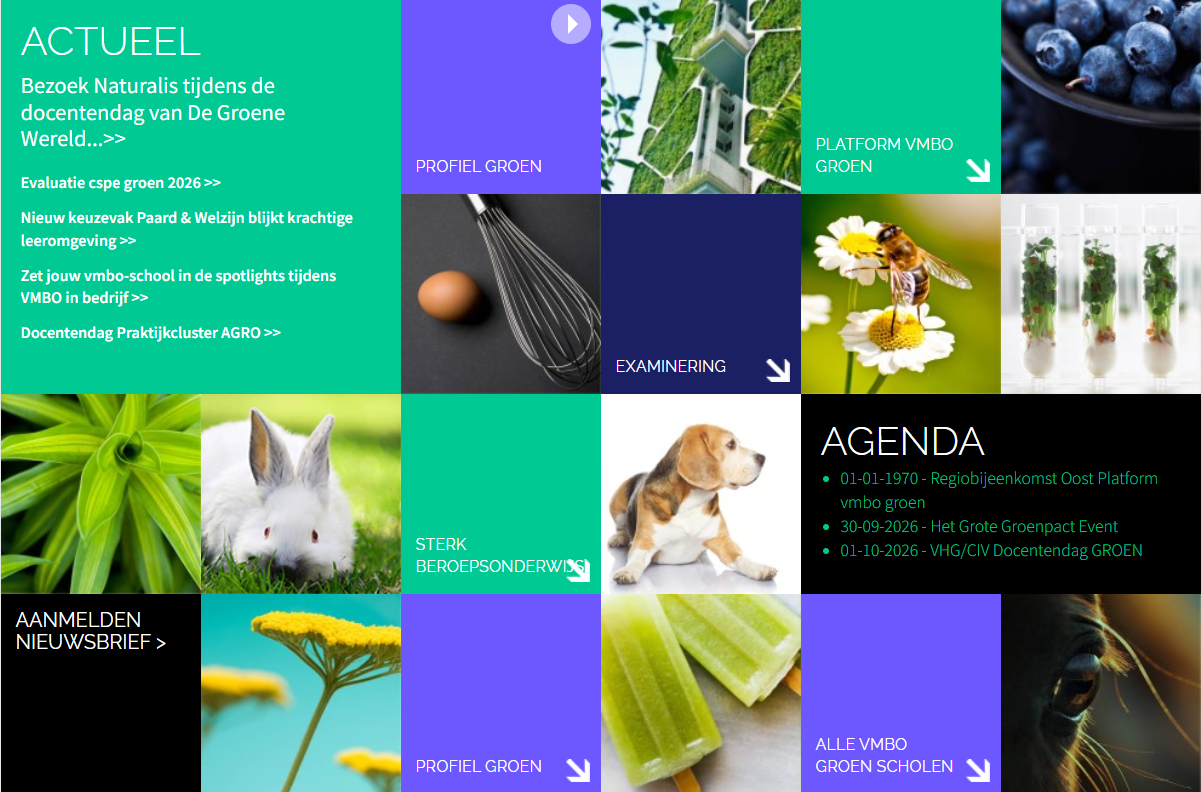 maatwerk-website-voor-platform-vmbo-groen-platform-vmbo-groen